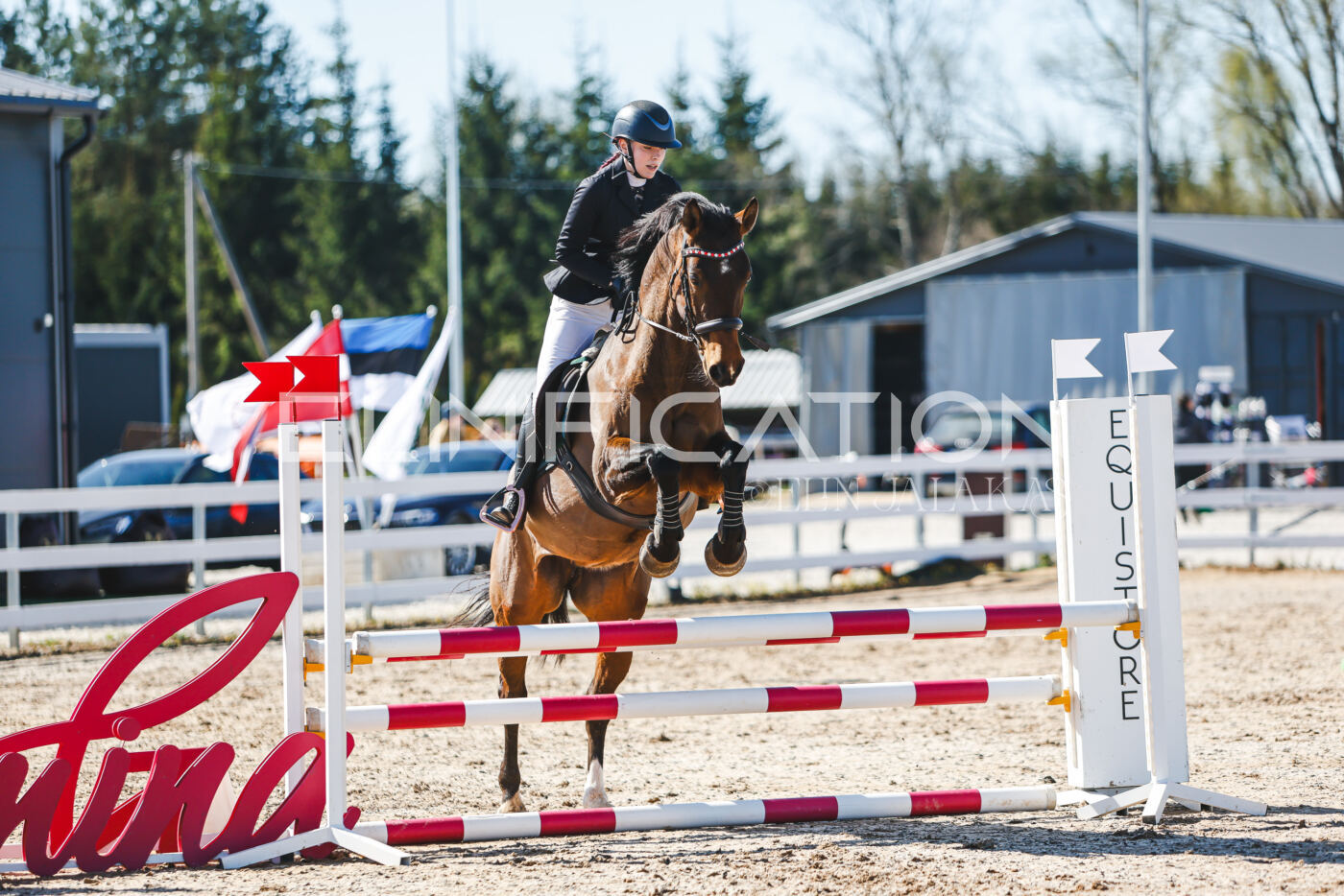Gramina_Volber_2026_hc70-80_0729