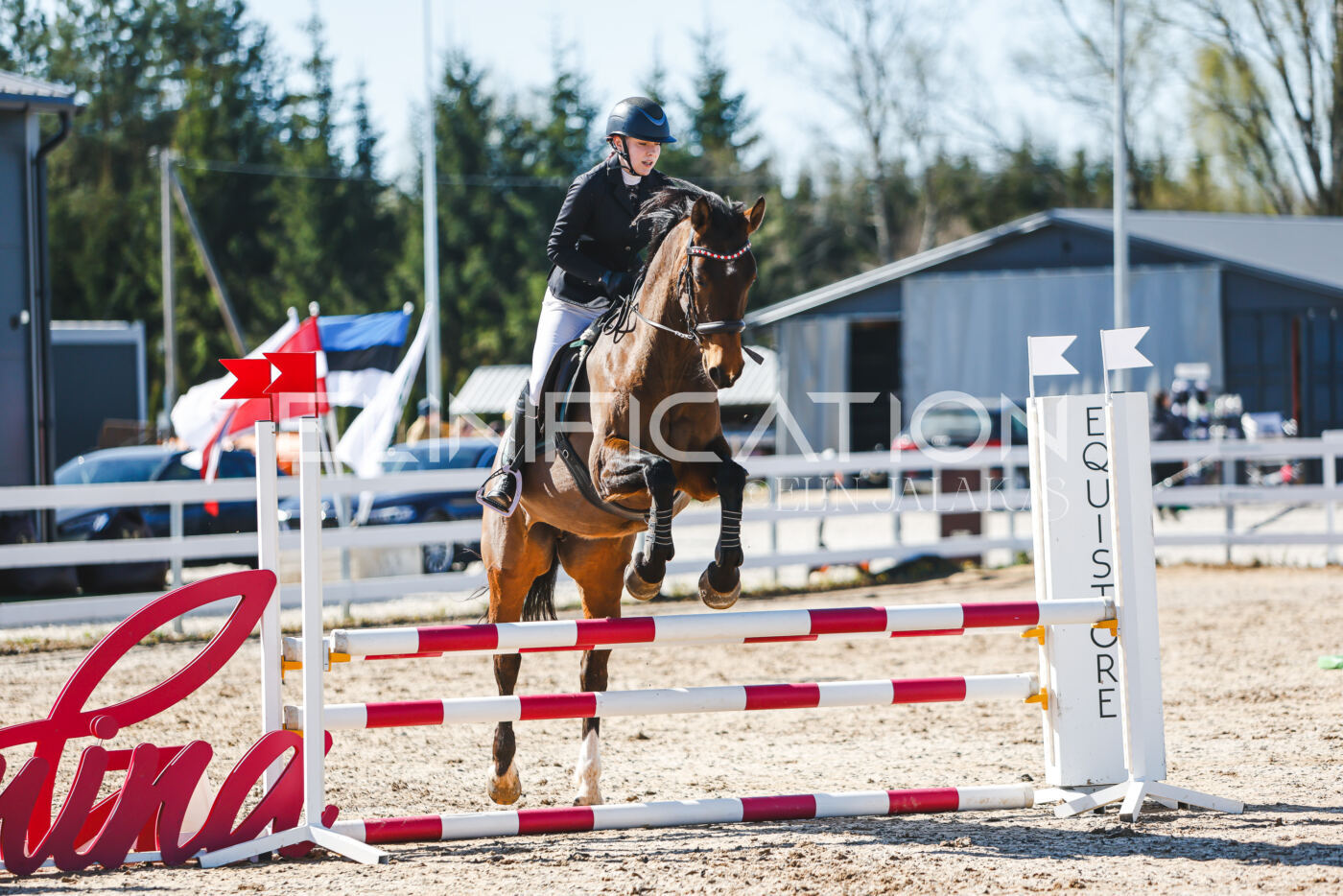 Gramina_Volber_2026_hc70-80_0730