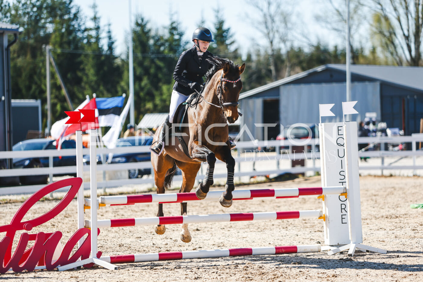 Gramina_Volber_2026_hc70-80_0731
