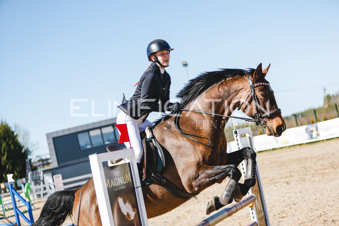Gramina_Volber_2026_hc70-80_0734
