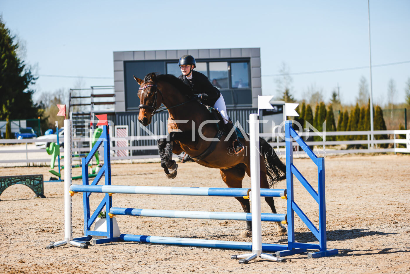 Gramina_Volber_2026_hc70-80_0736