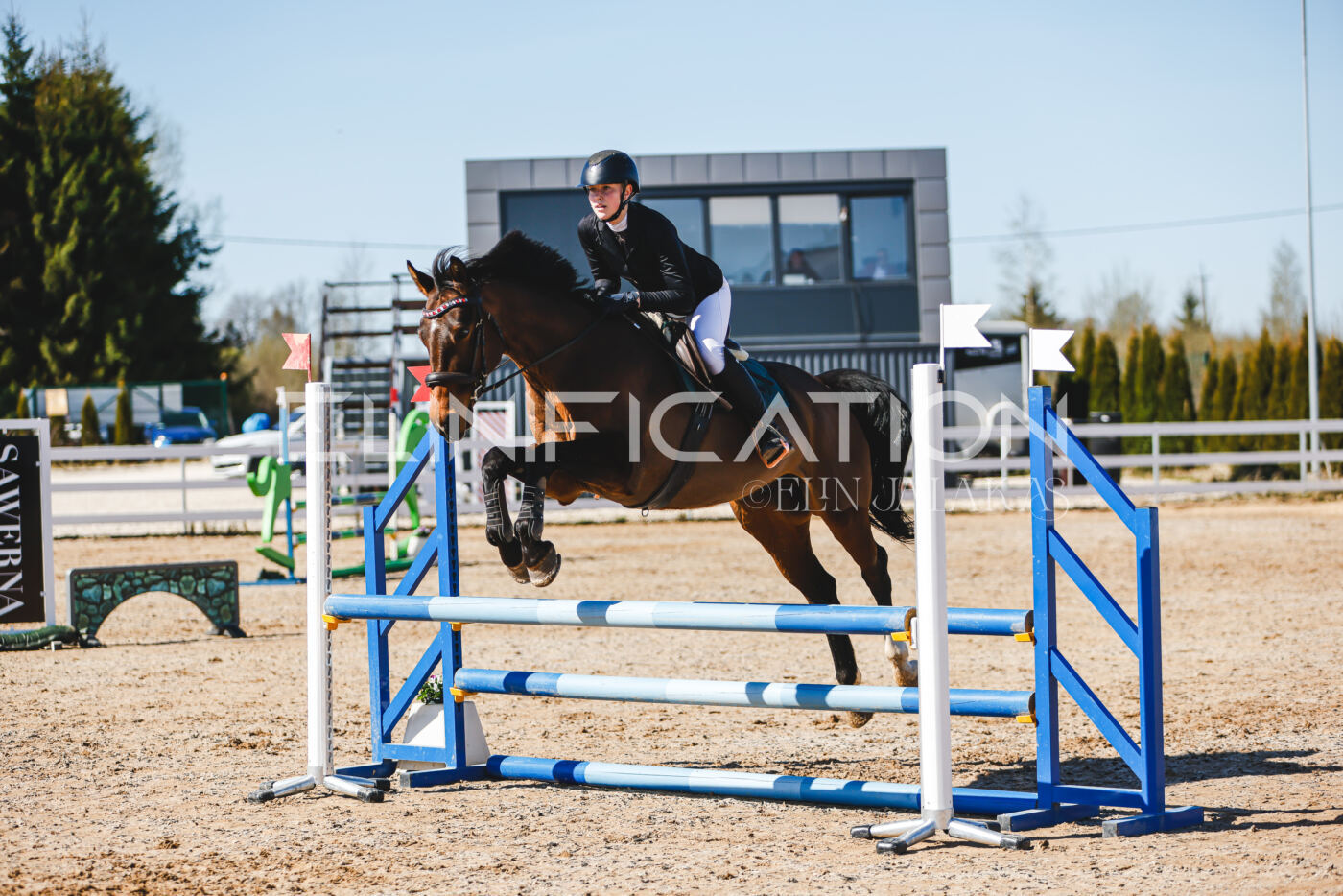 Gramina_Volber_2026_hc70-80_0738