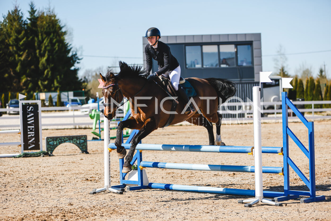 Gramina_Volber_2026_hc70-80_0740