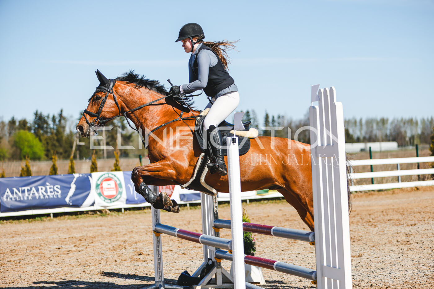 Gramina_Volber_2026_hc70-80_0751