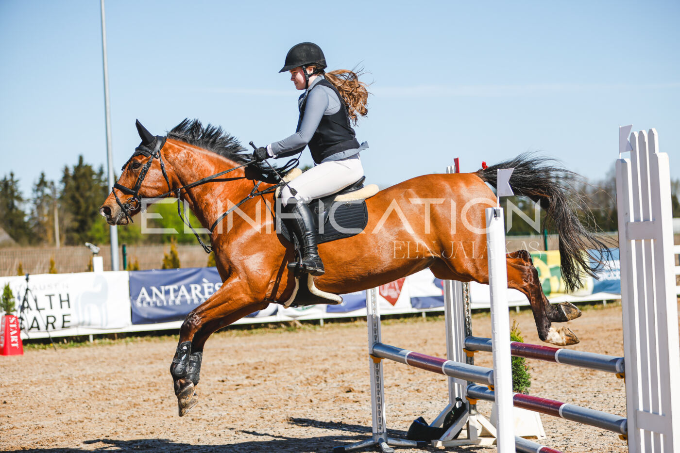 Gramina_Volber_2026_hc70-80_0754