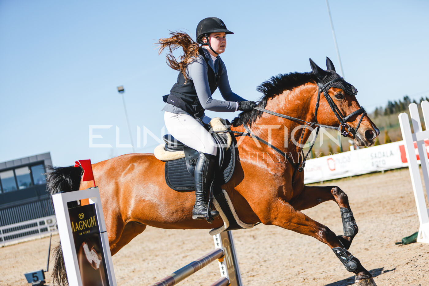 Gramina_Volber_2026_hc70-80_0764
