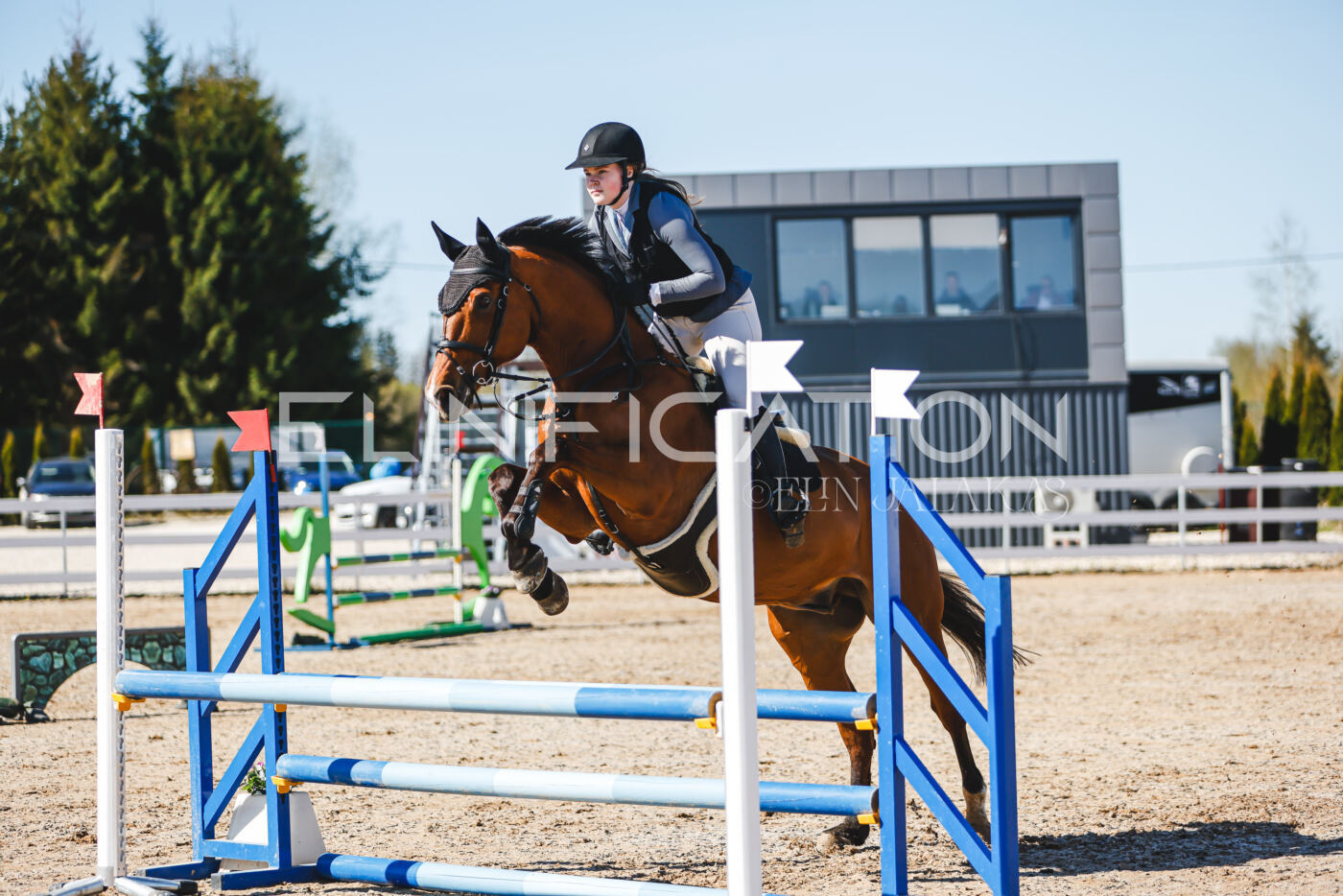 Gramina_Volber_2026_hc70-80_0765