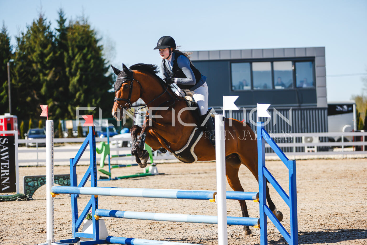 Gramina_Volber_2026_hc70-80_0766