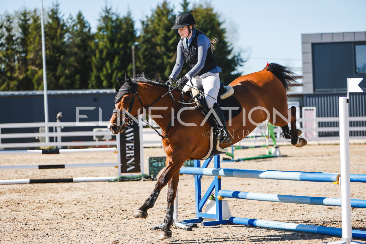 Gramina_Volber_2026_hc70-80_0771