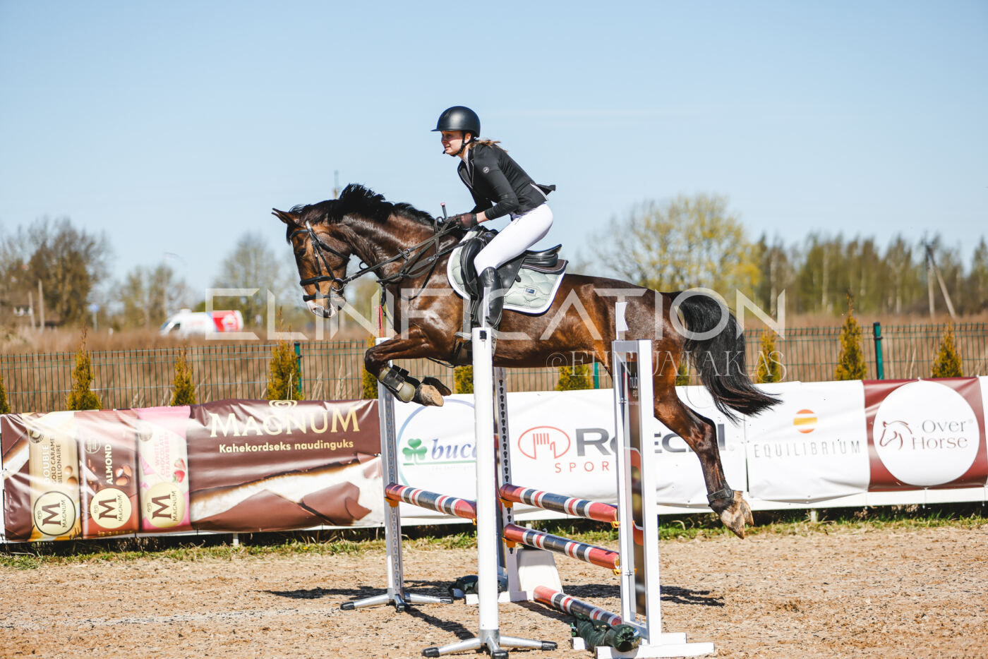 Gramina_Volber_2026_hc70-80_0774