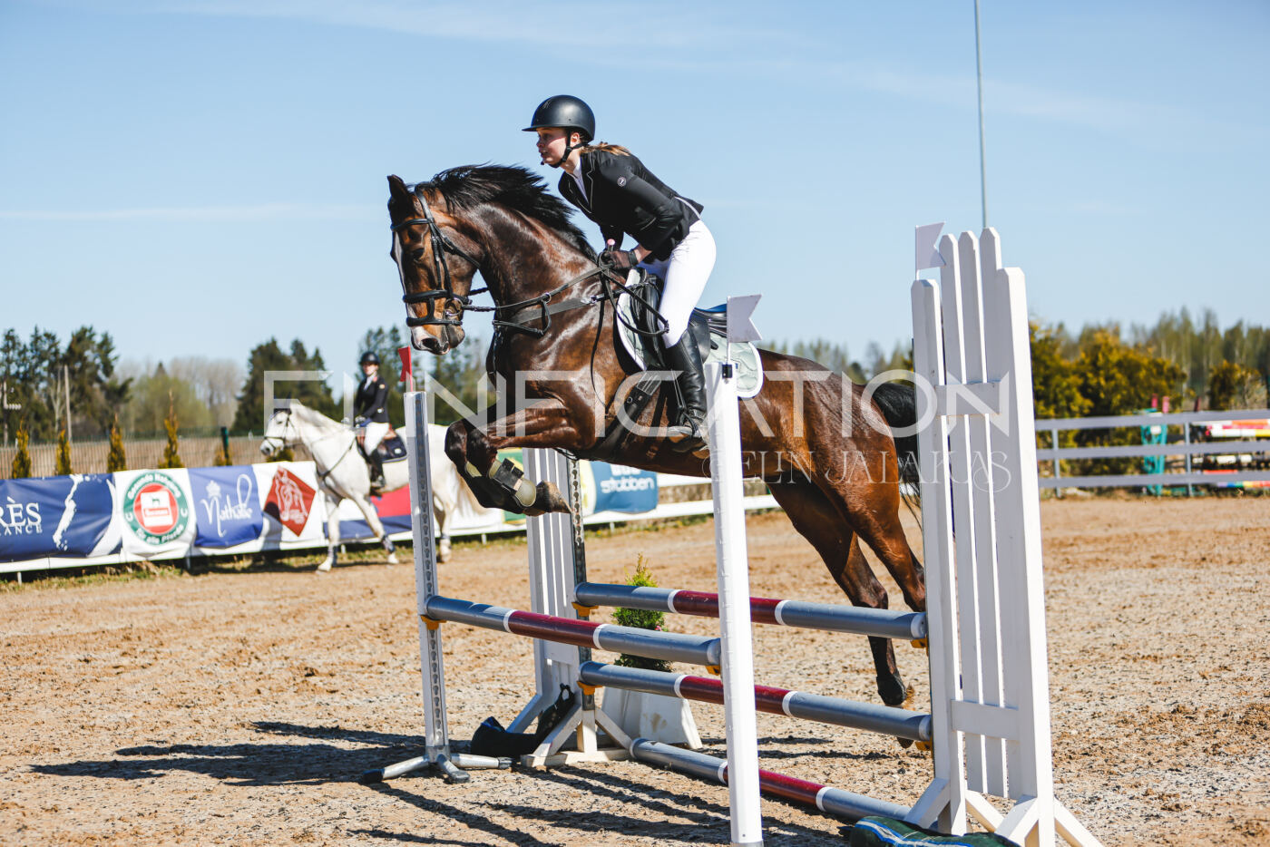 Gramina_Volber_2026_hc70-80_0778