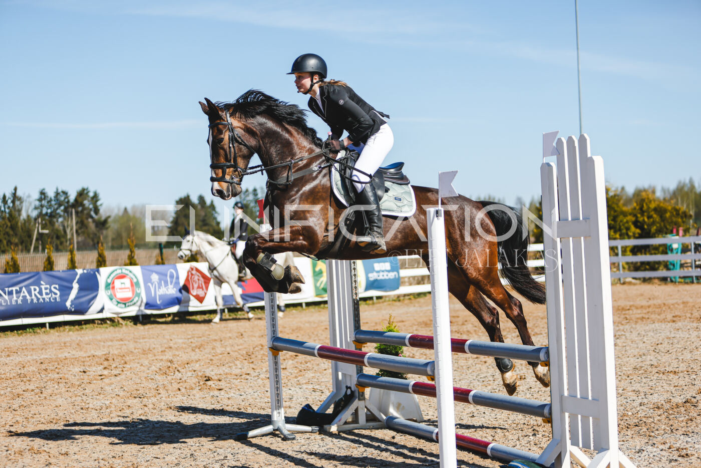 Gramina_Volber_2026_hc70-80_0779