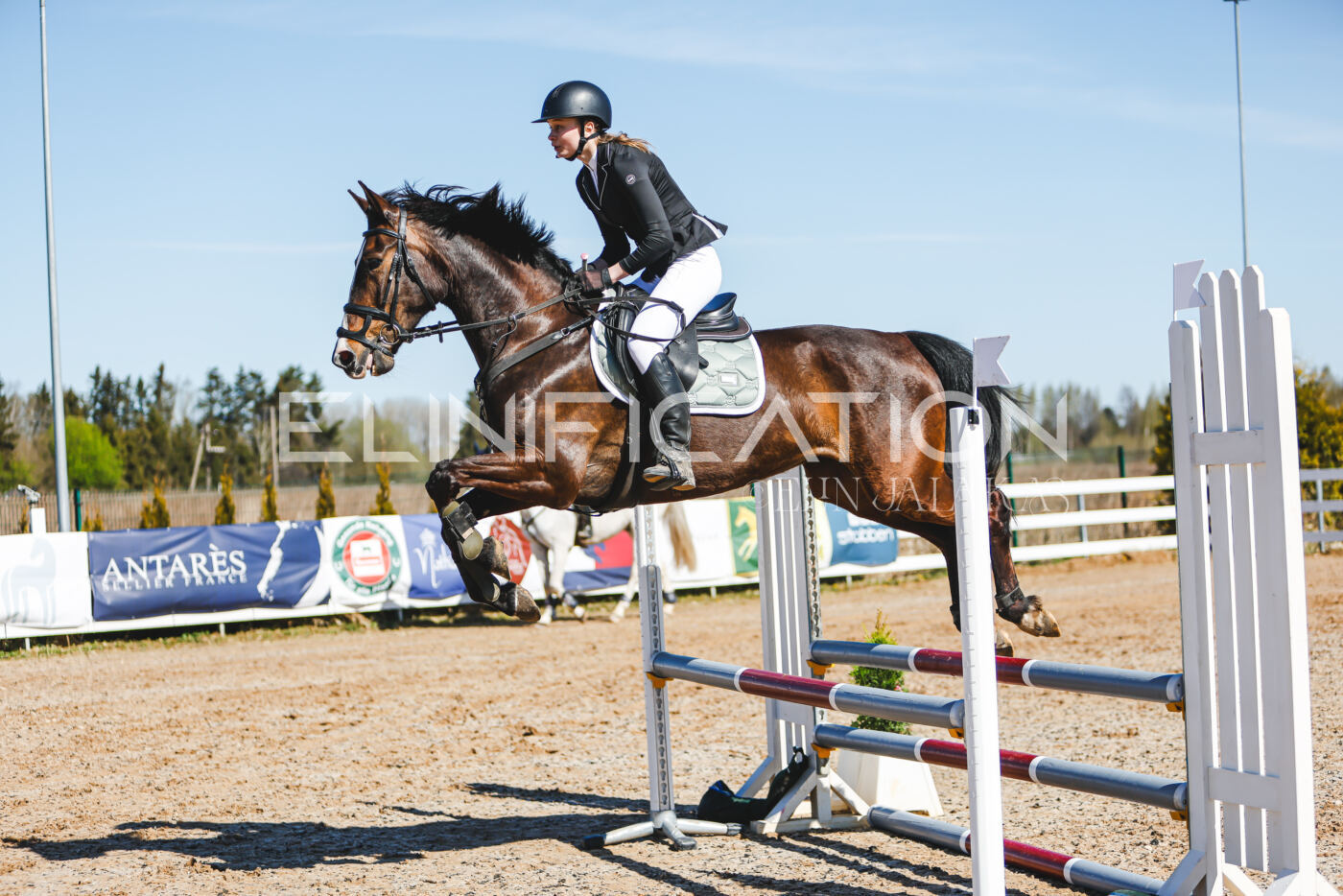 Gramina_Volber_2026_hc70-80_0781