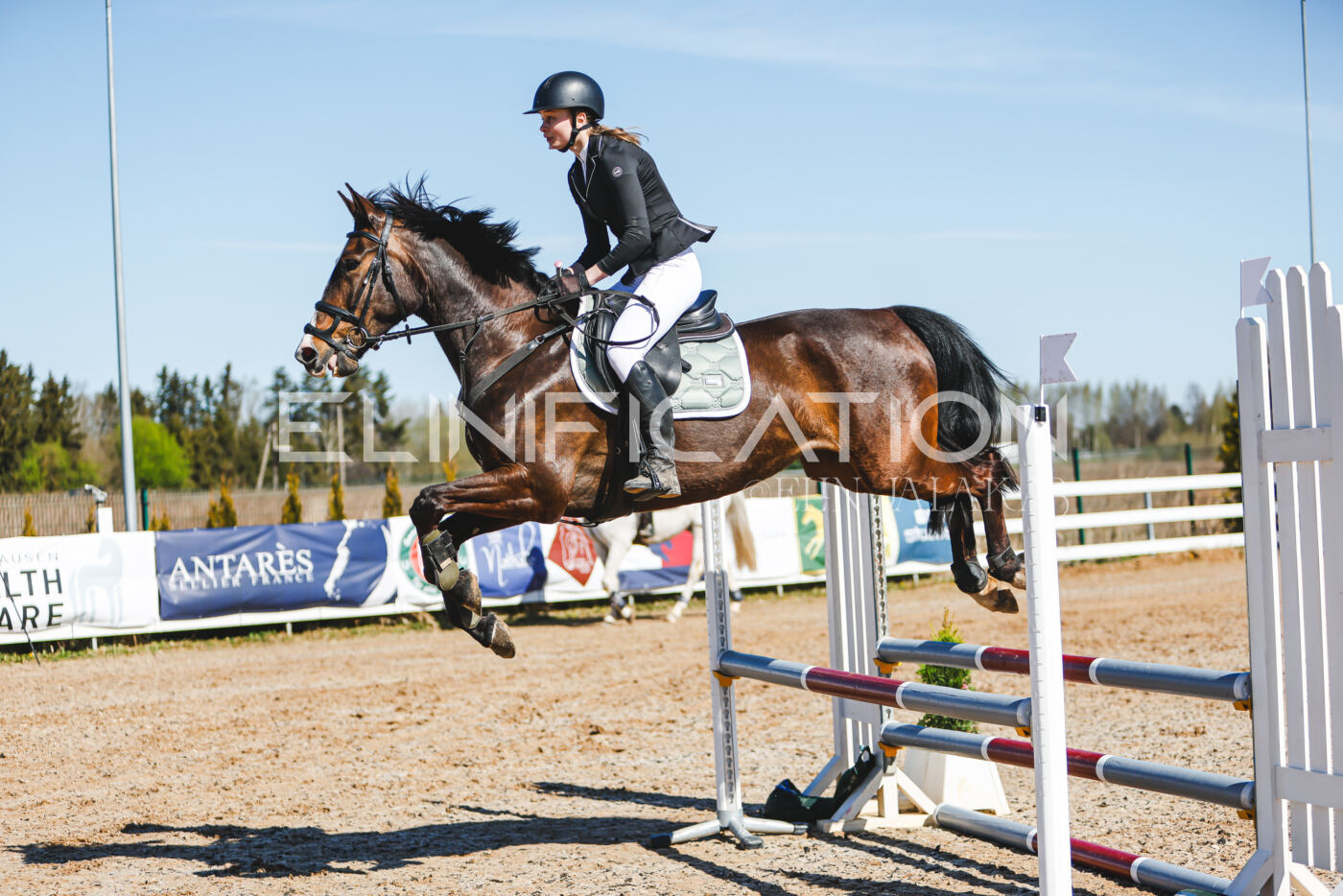 Gramina_Volber_2026_hc70-80_0782