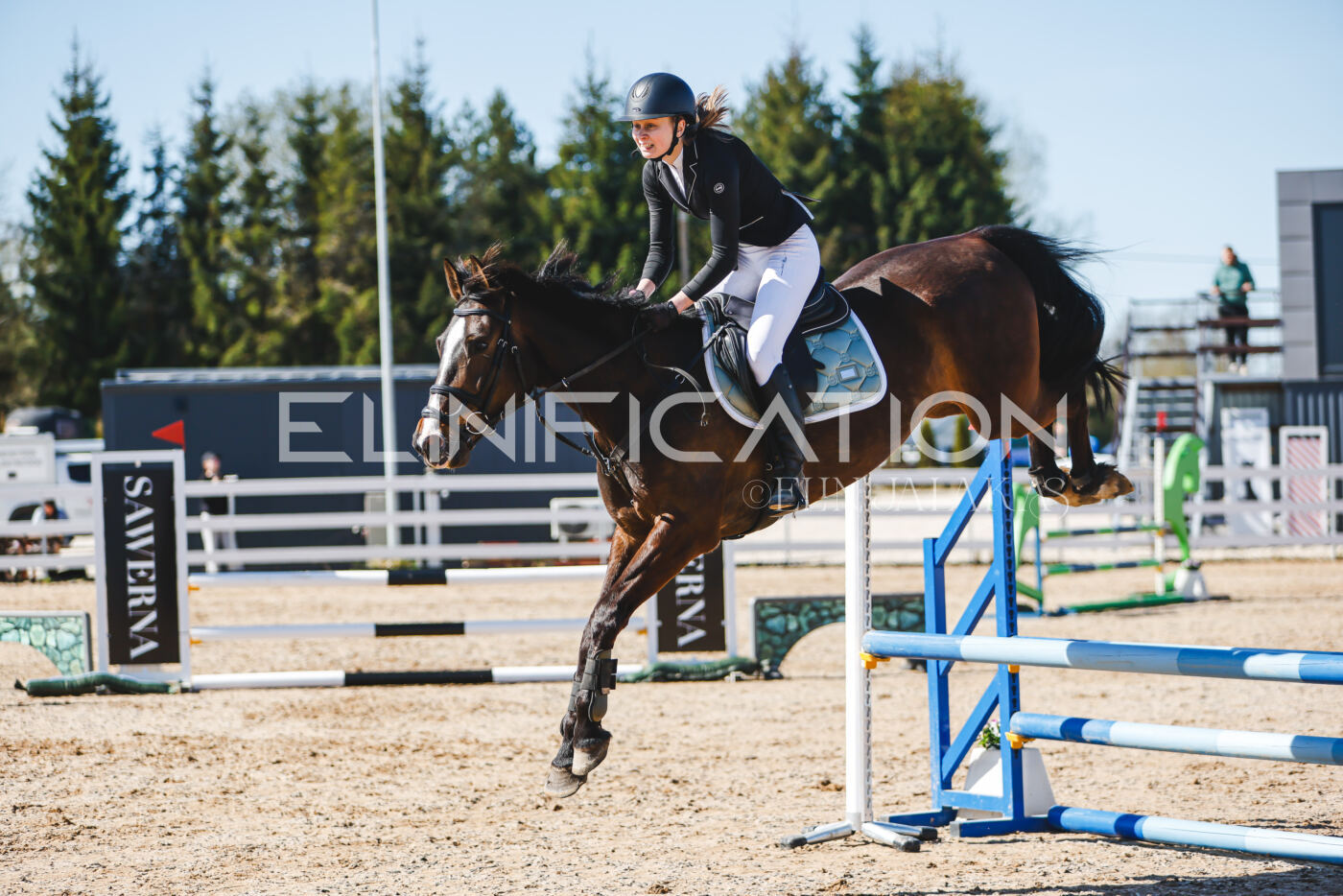 Gramina_Volber_2026_hc70-80_0801