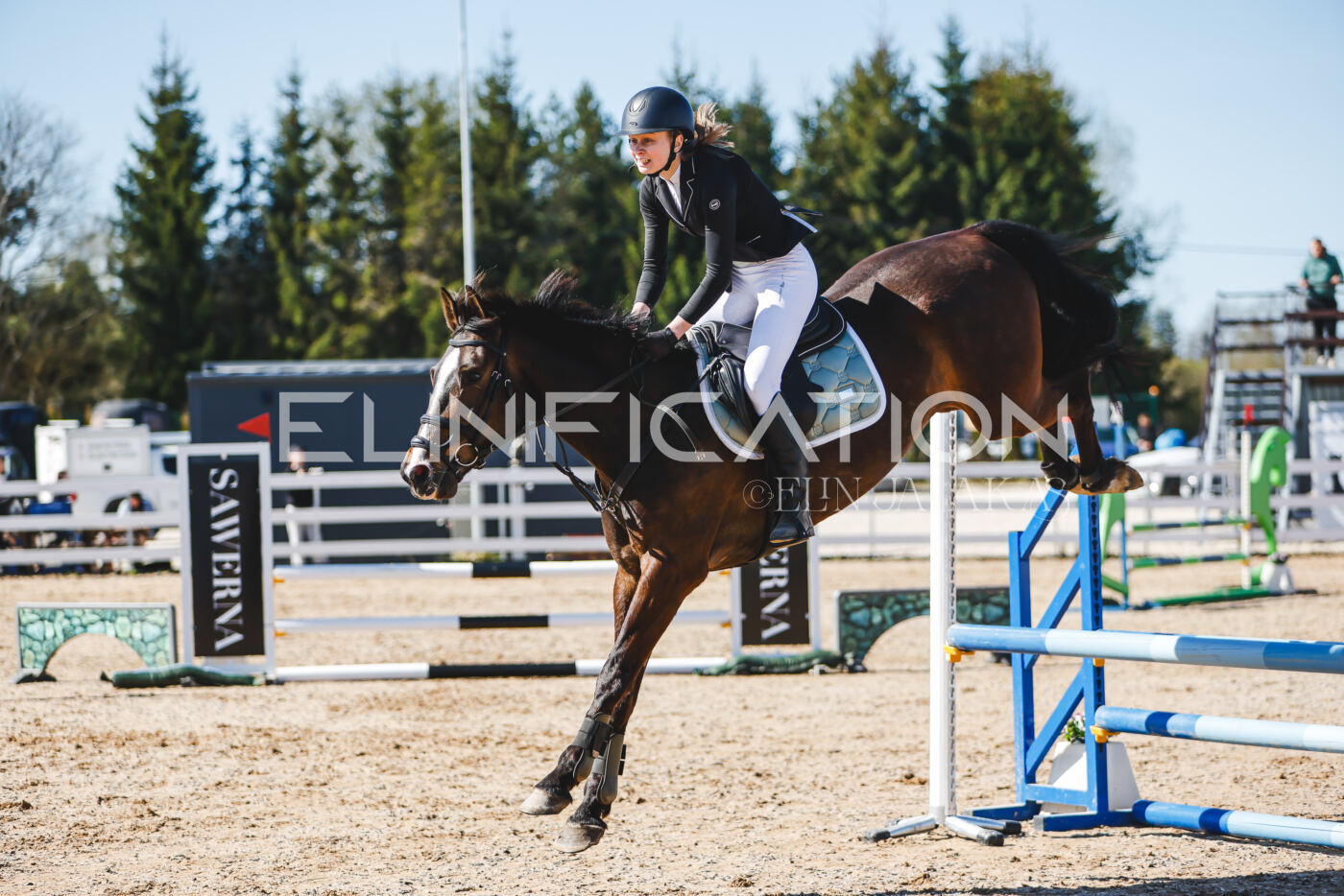 Gramina_Volber_2026_hc70-80_0802