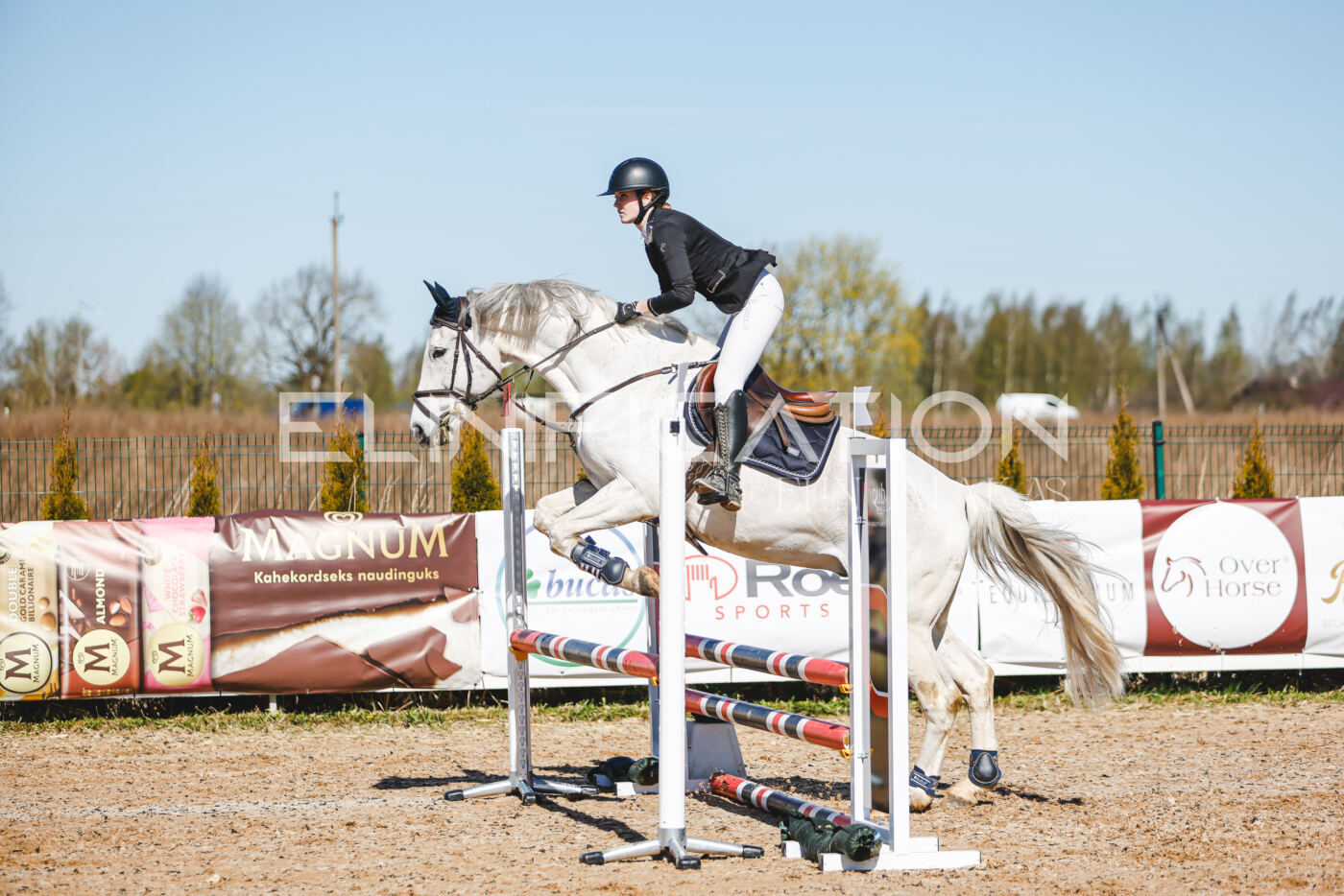 Gramina_Volber_2026_hc70-80_0803