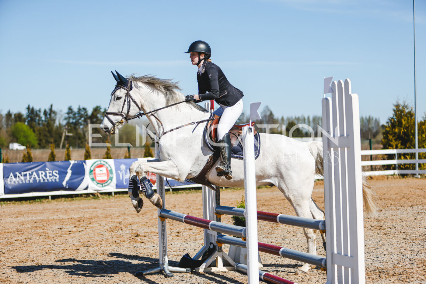 Gramina_Volber_2026_hc70-80_0814