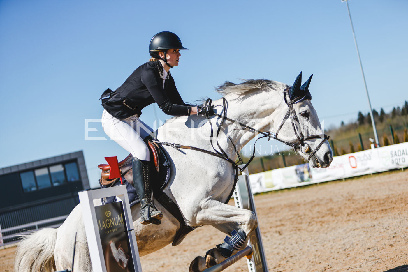 Gramina_Volber_2026_hc70-80_0823