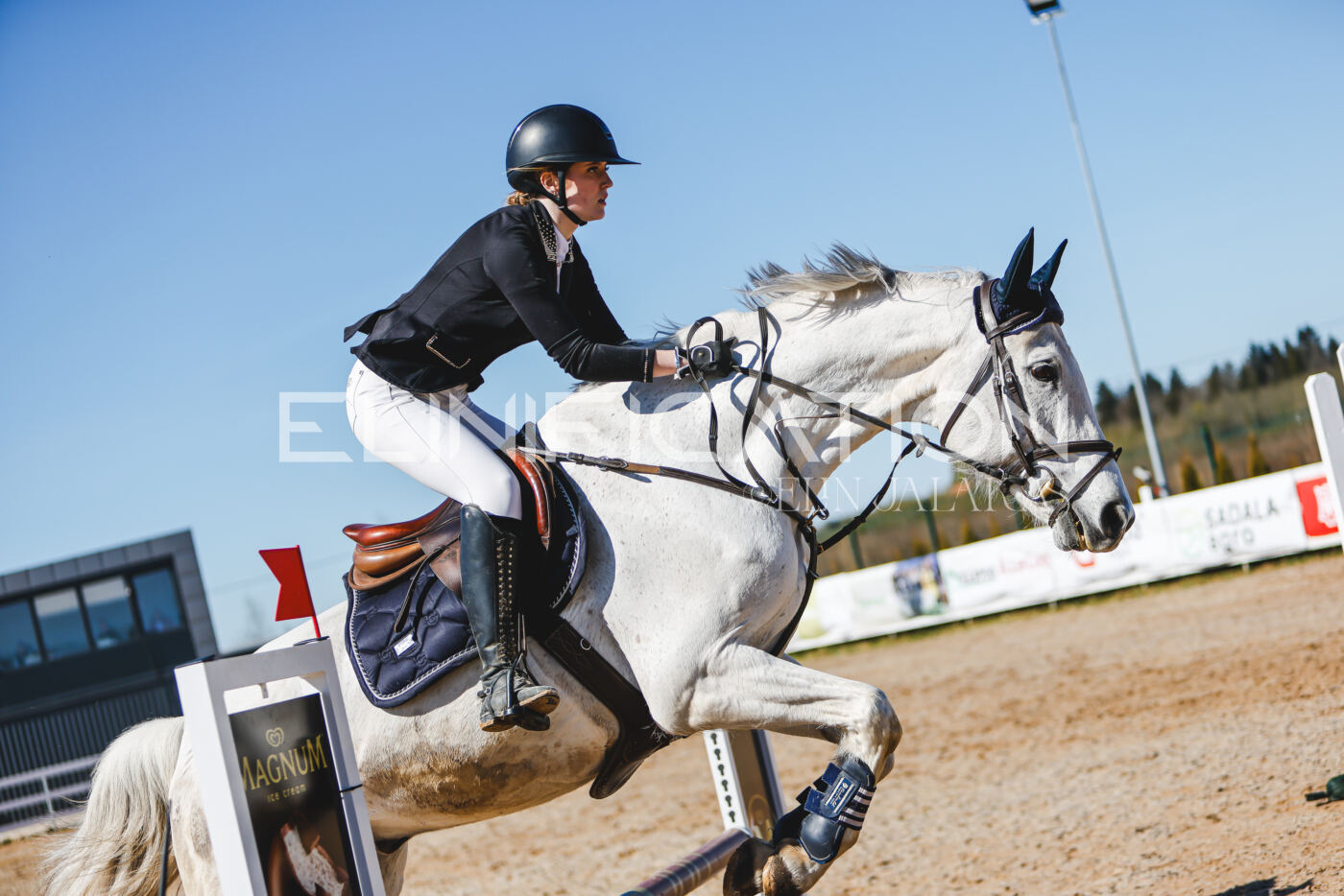 Gramina_Volber_2026_hc70-80_0824