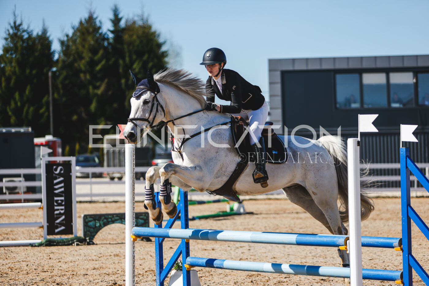 Gramina_Volber_2026_hc70-80_0827
