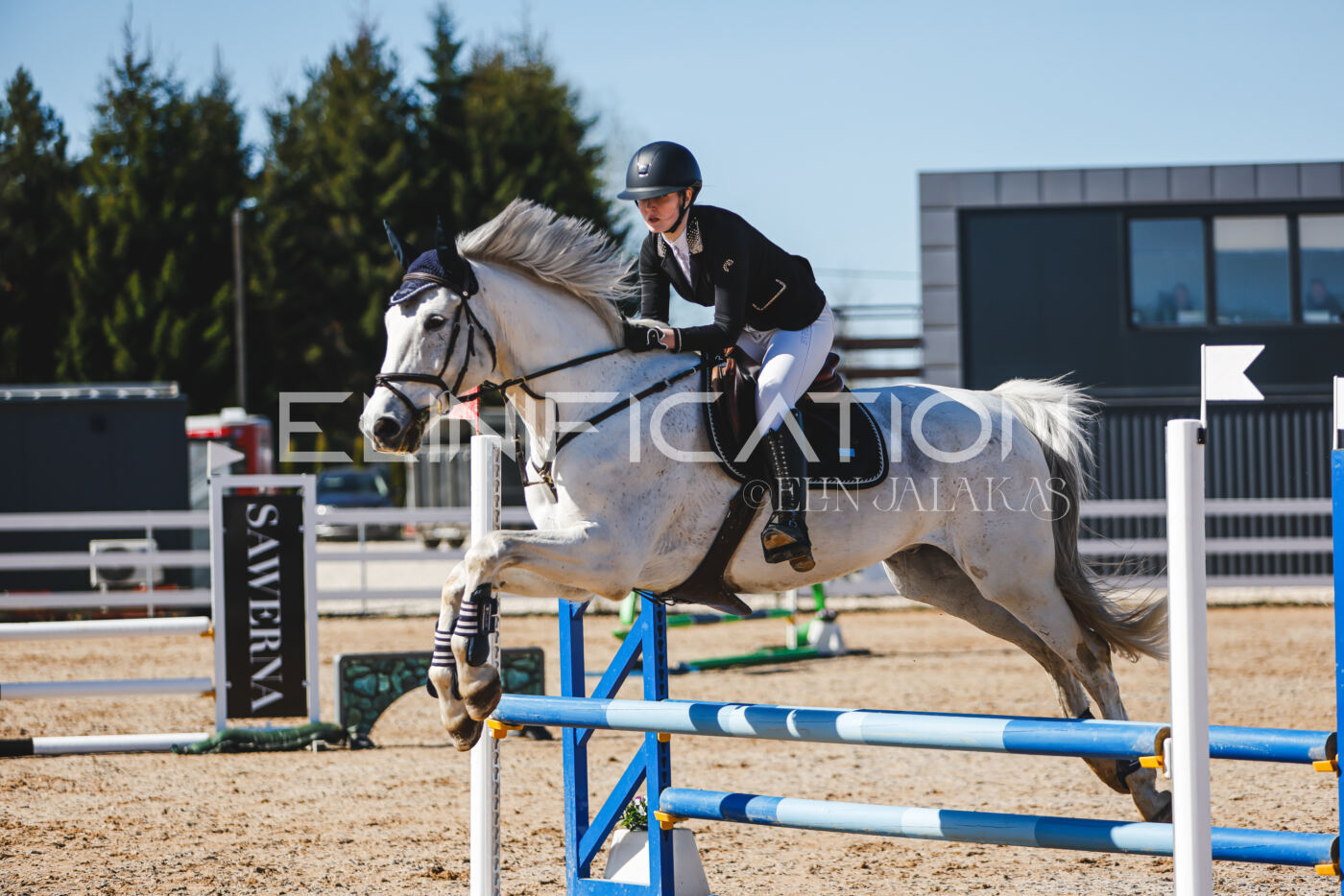 Gramina_Volber_2026_hc70-80_0828