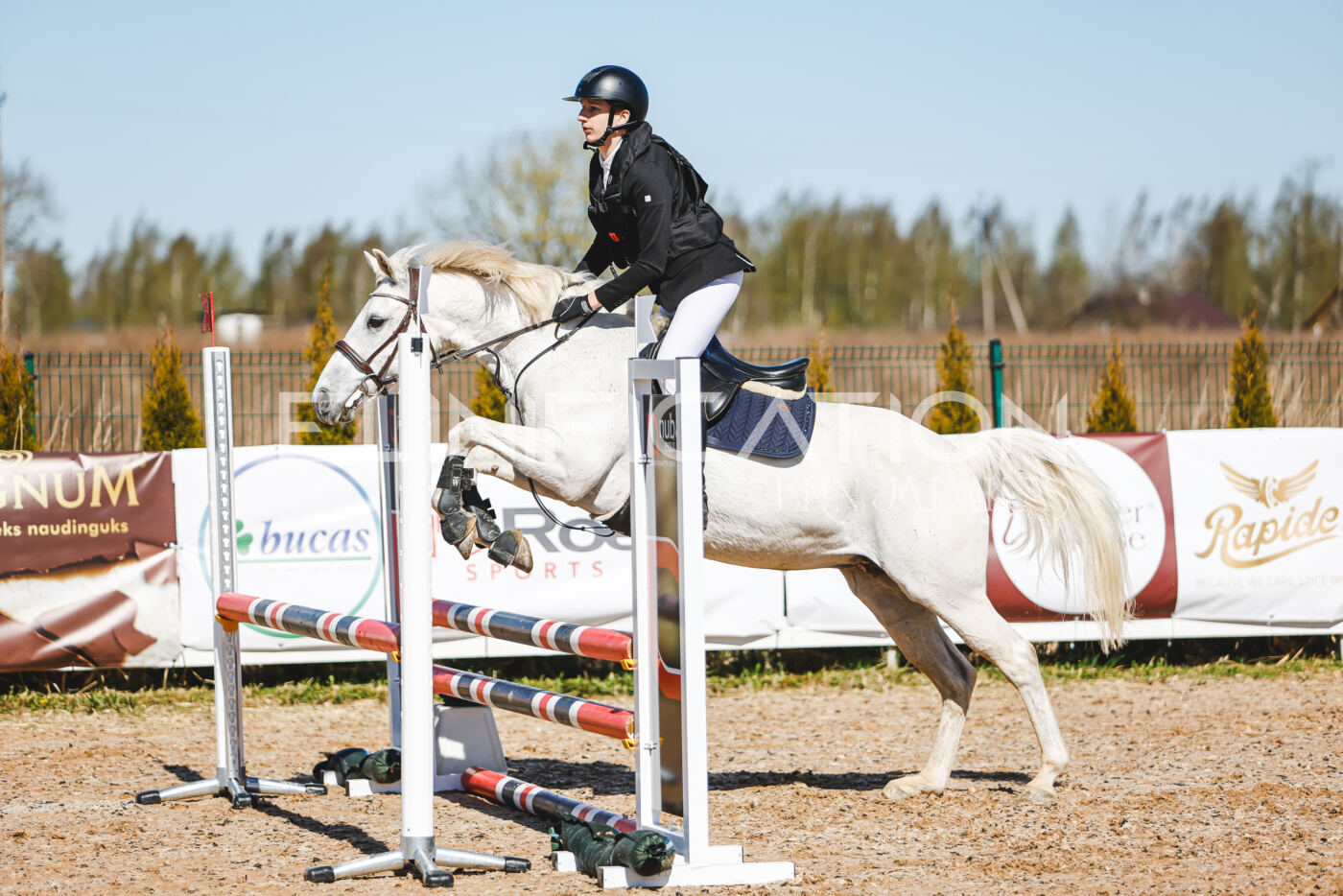 Gramina_Volber_2026_hc70-80_0831