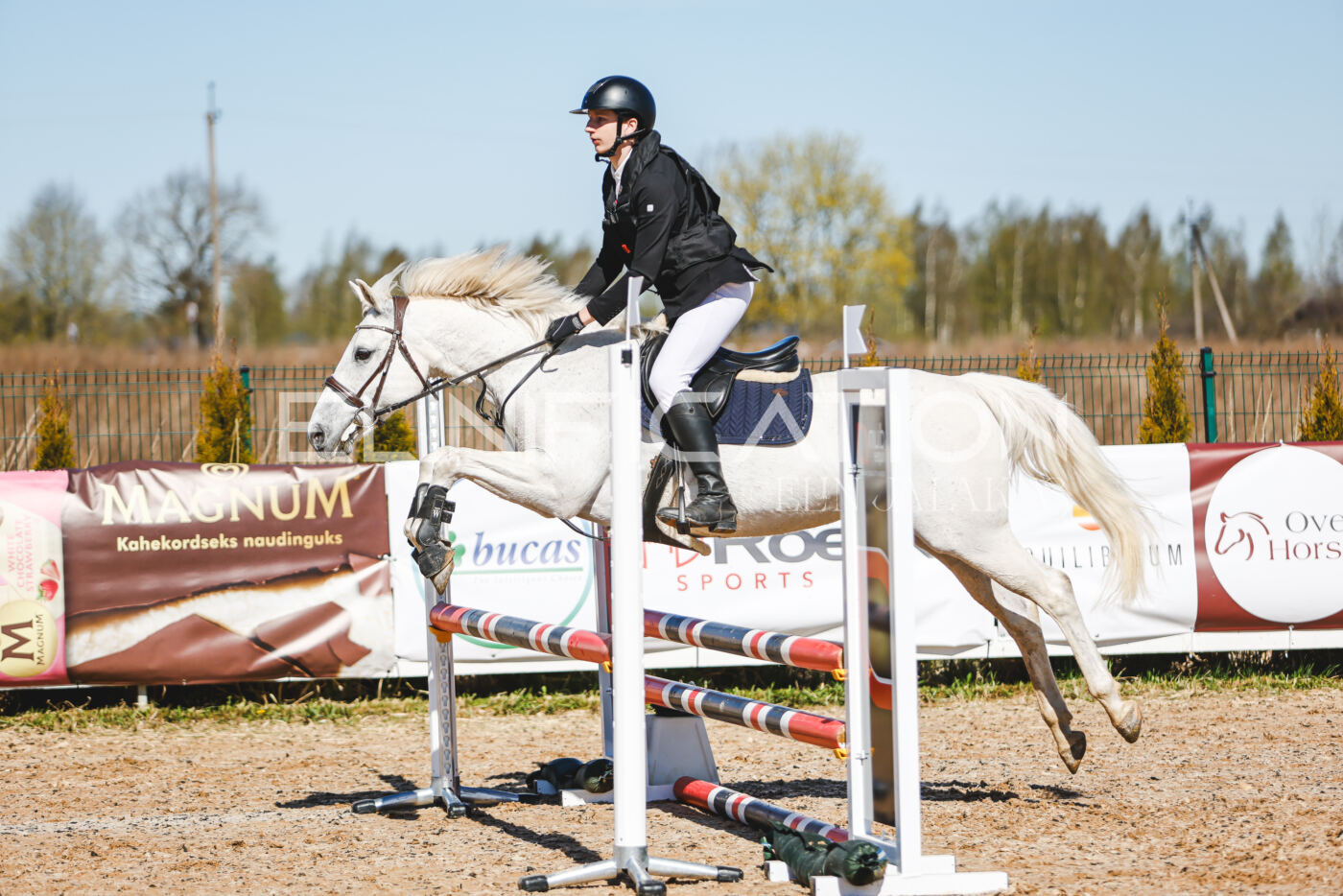 Gramina_Volber_2026_hc70-80_0833
