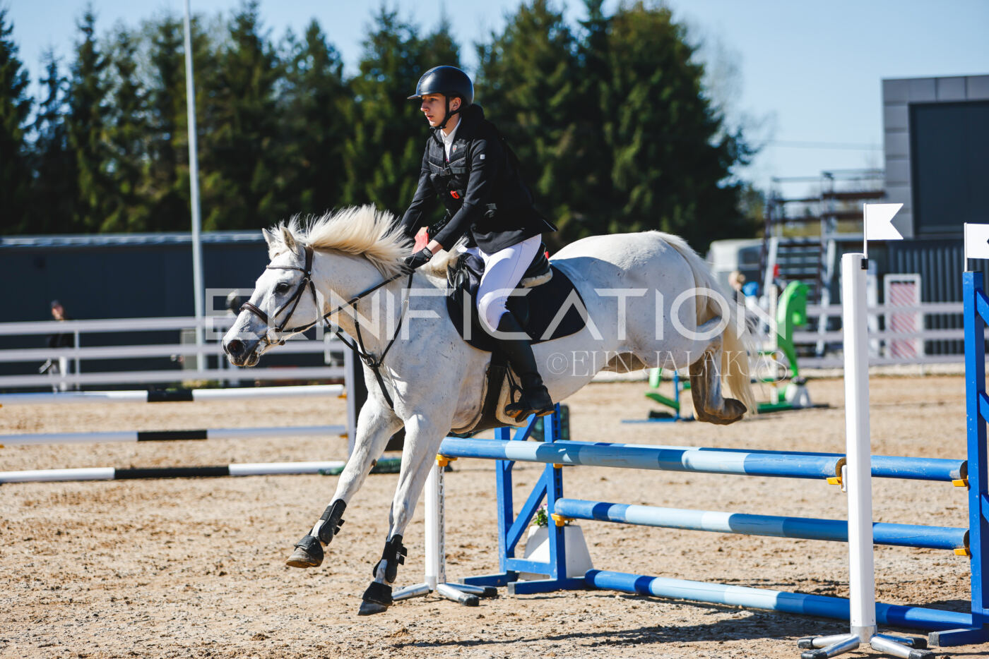Gramina_Volber_2026_hc70-80_0853