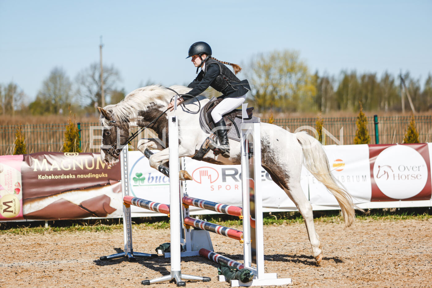 Gramina_Volber_2026_hc70-80_0855