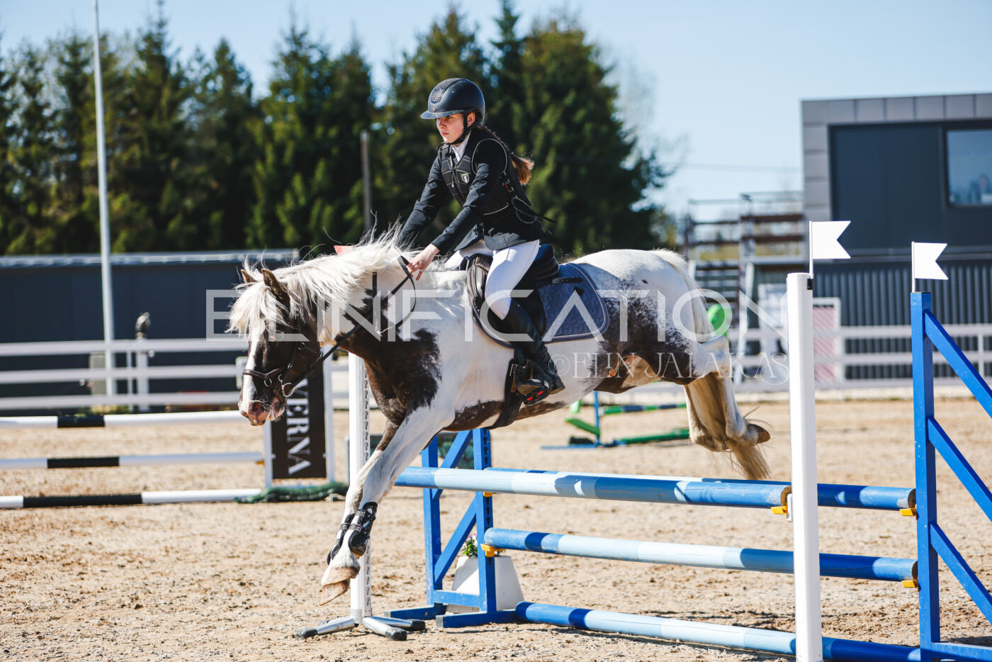 Gramina_Volber_2026_hc70-80_0885