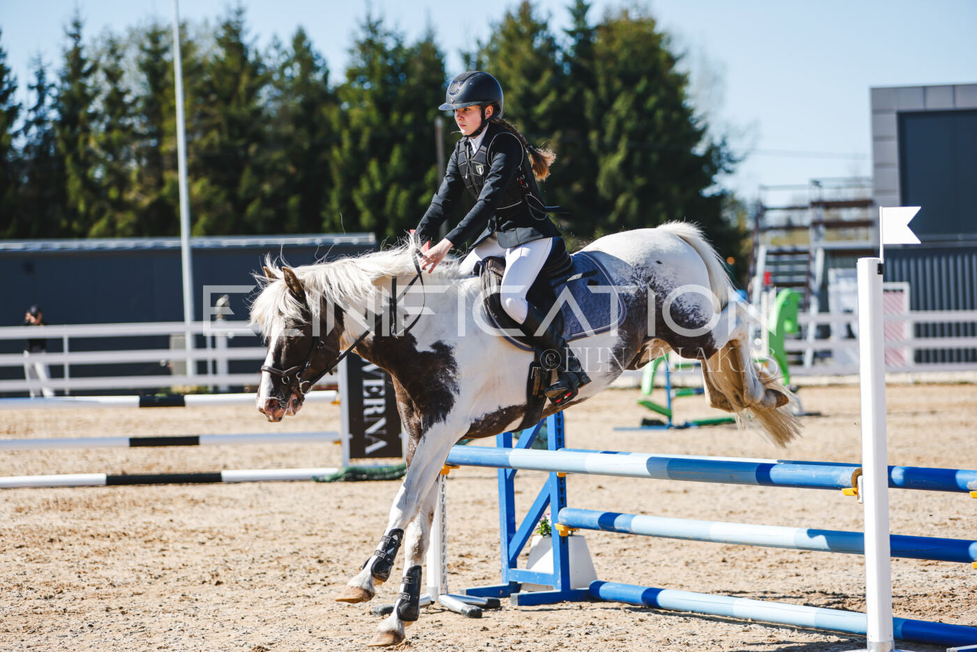 Gramina_Volber_2026_hc70-80_0886