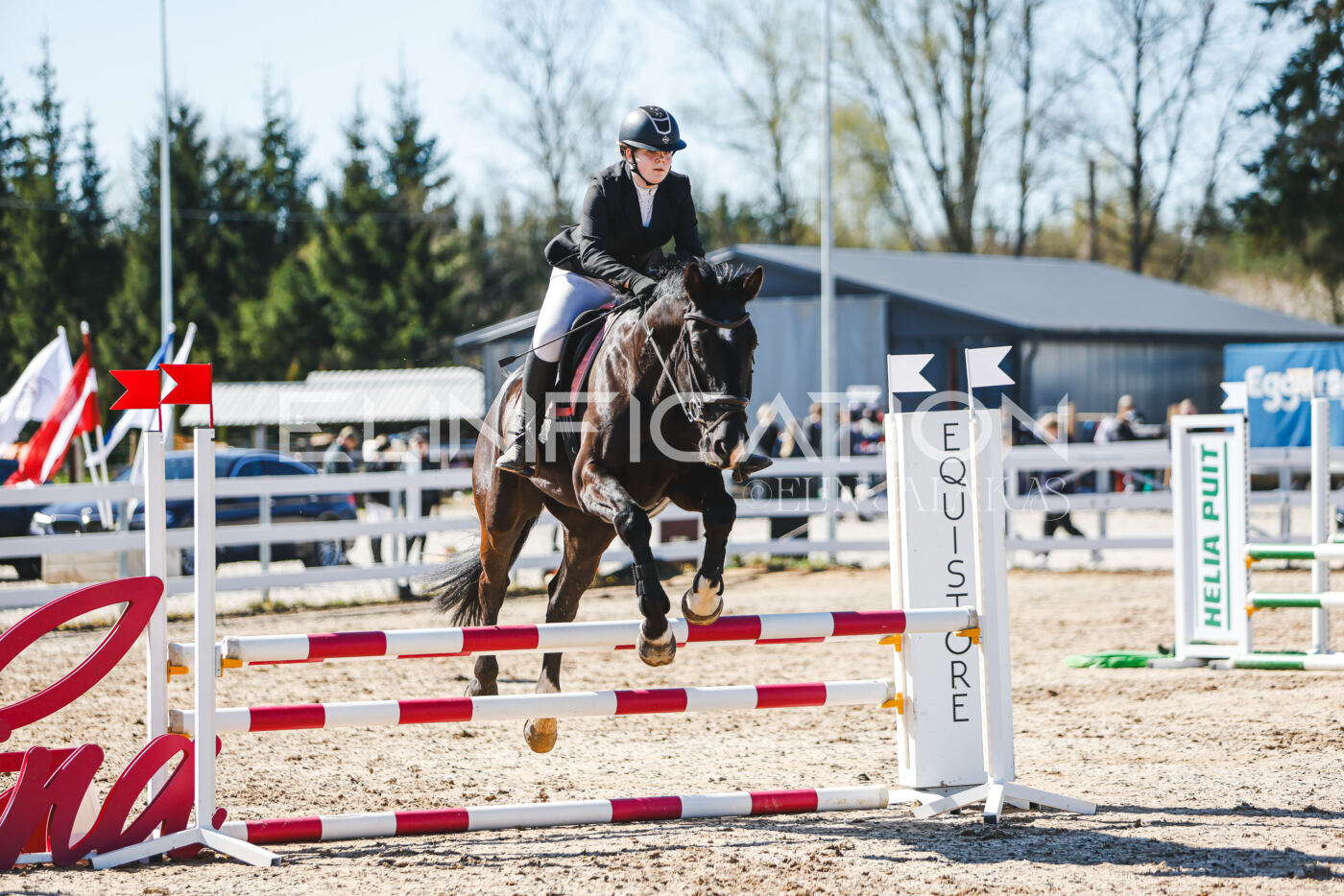 Gramina_Volber_2026_hc70-80_0901
