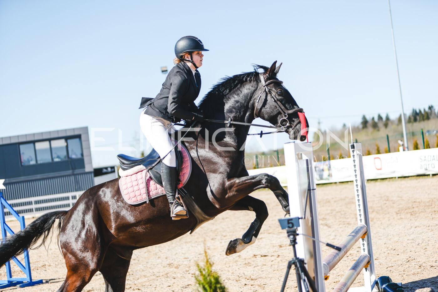 Gramina_Volber_2026_hc70-80_0904
