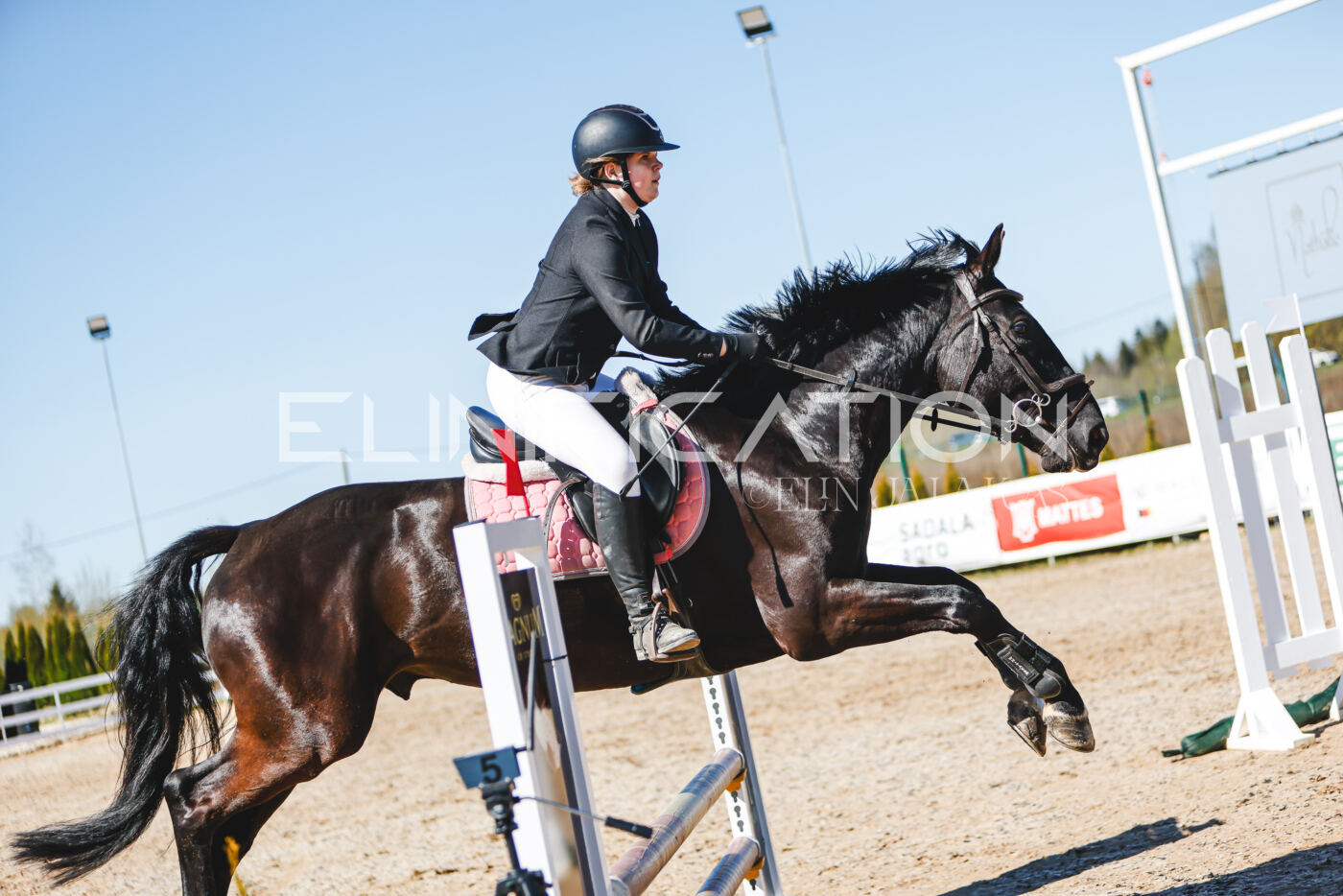 Gramina_Volber_2026_hc70-80_0908