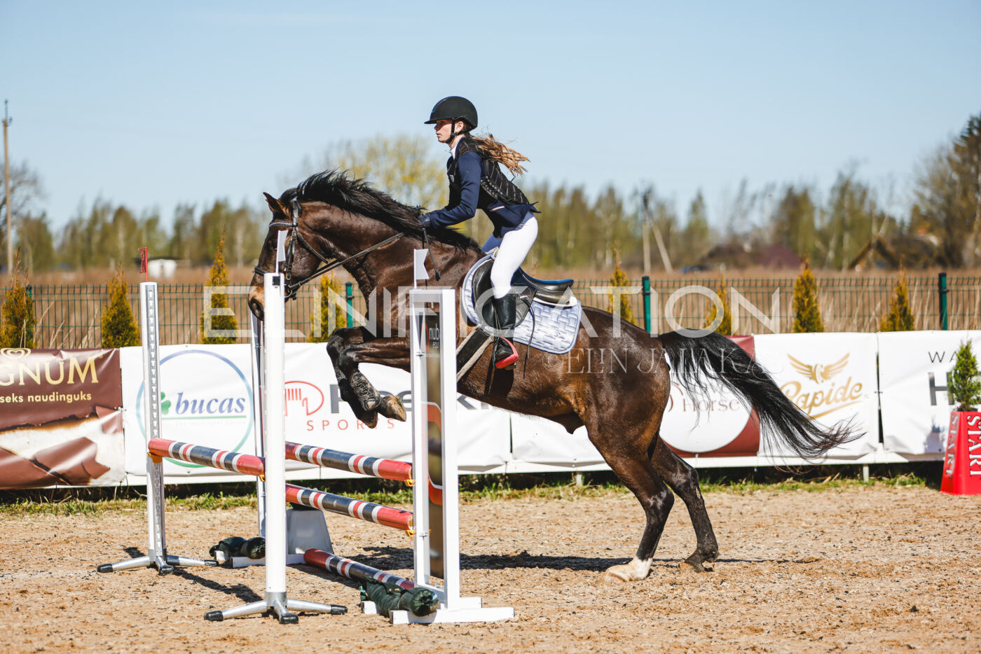 Gramina_Volber_2026_hc70-80_0914