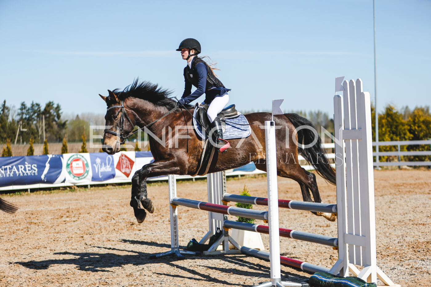 Gramina_Volber_2026_hc70-80_0927