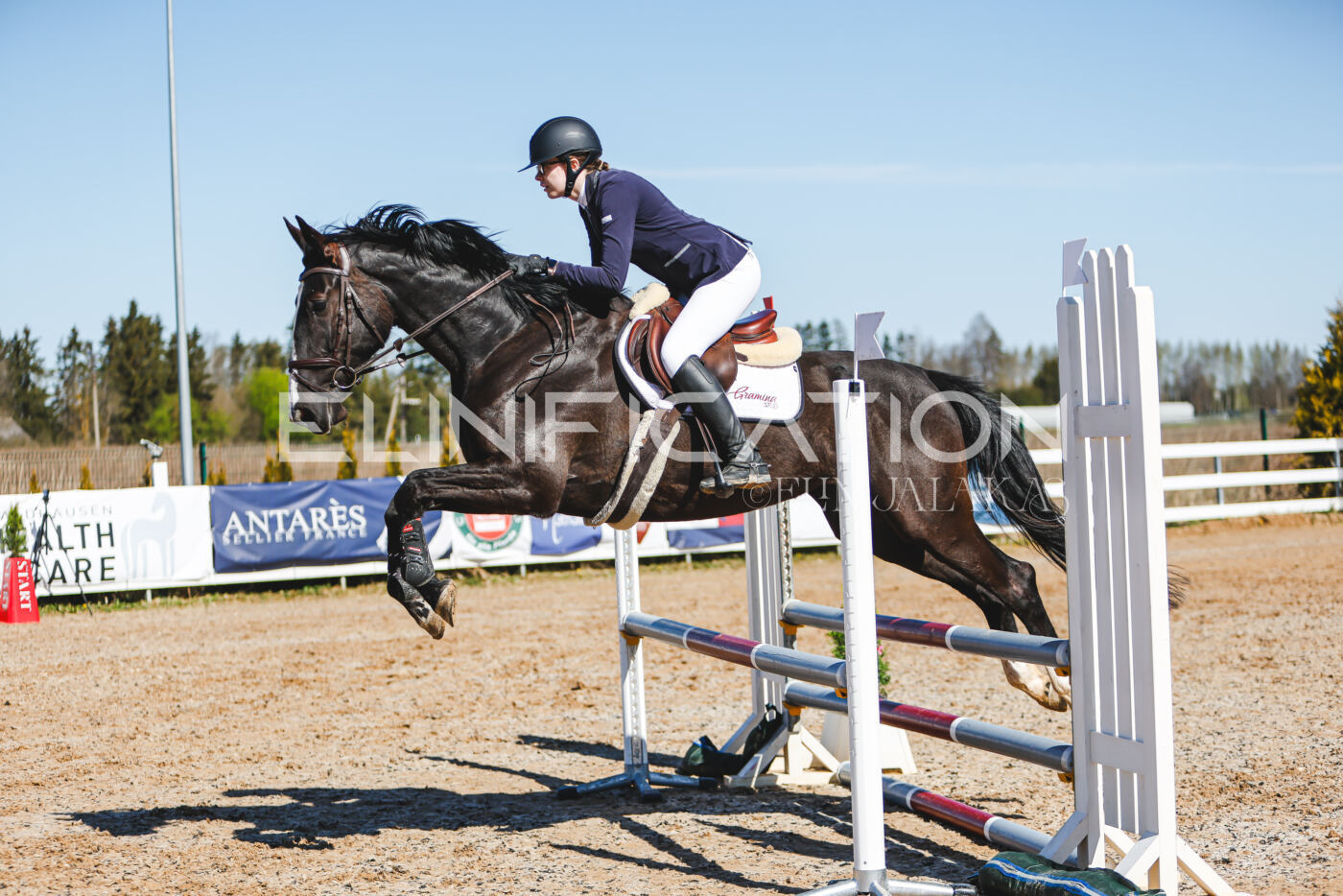 Gramina_Volber_2026_hc70-80_0959