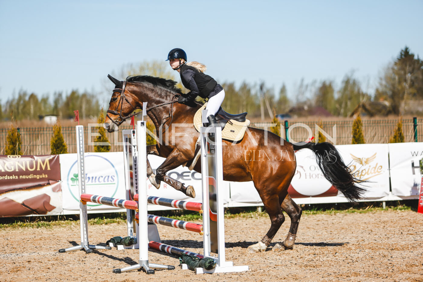 Gramina_Volber_2026_hc70-80_0977