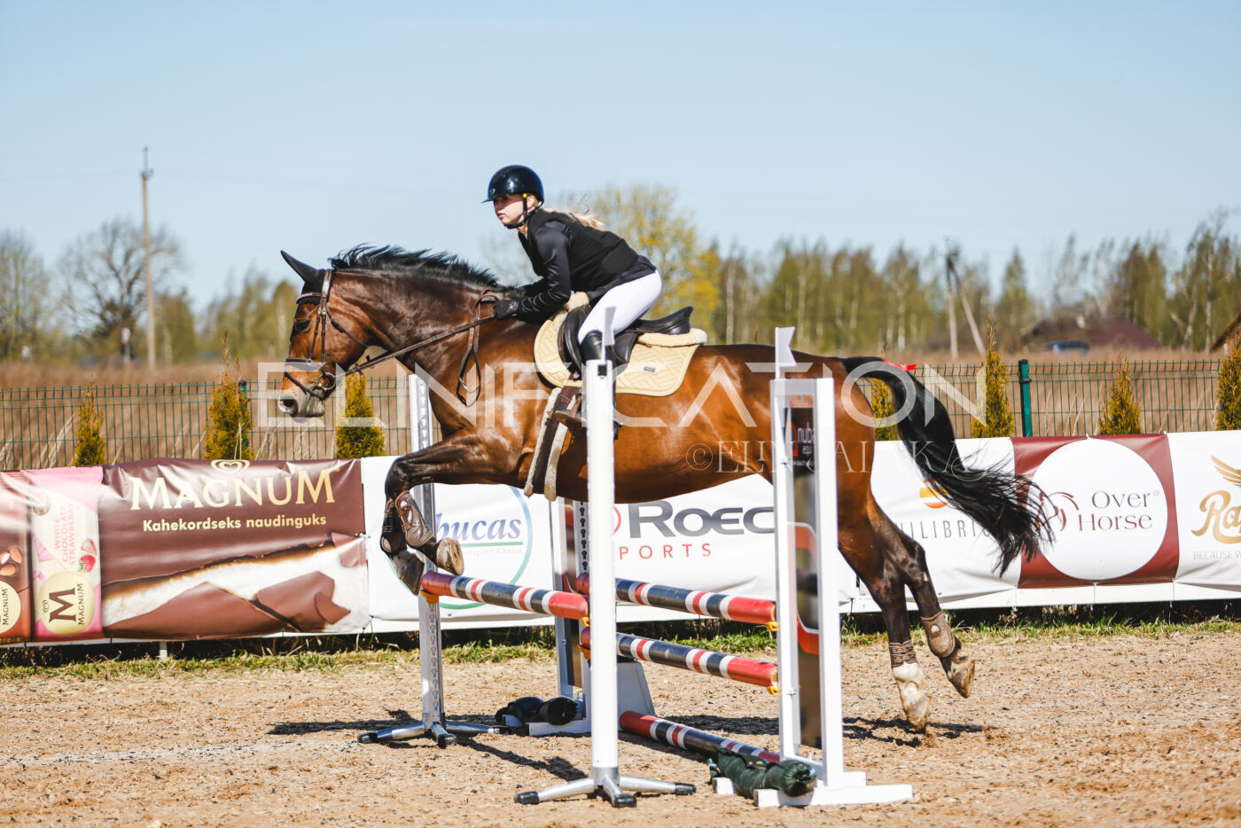 Gramina_Volber_2026_hc70-80_0980