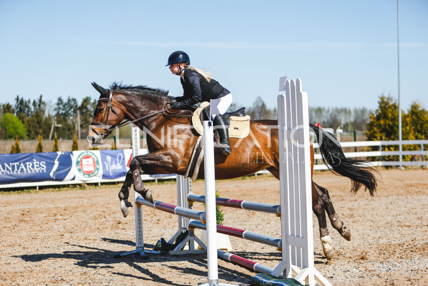 Gramina_Volber_2026_hc70-80_0993