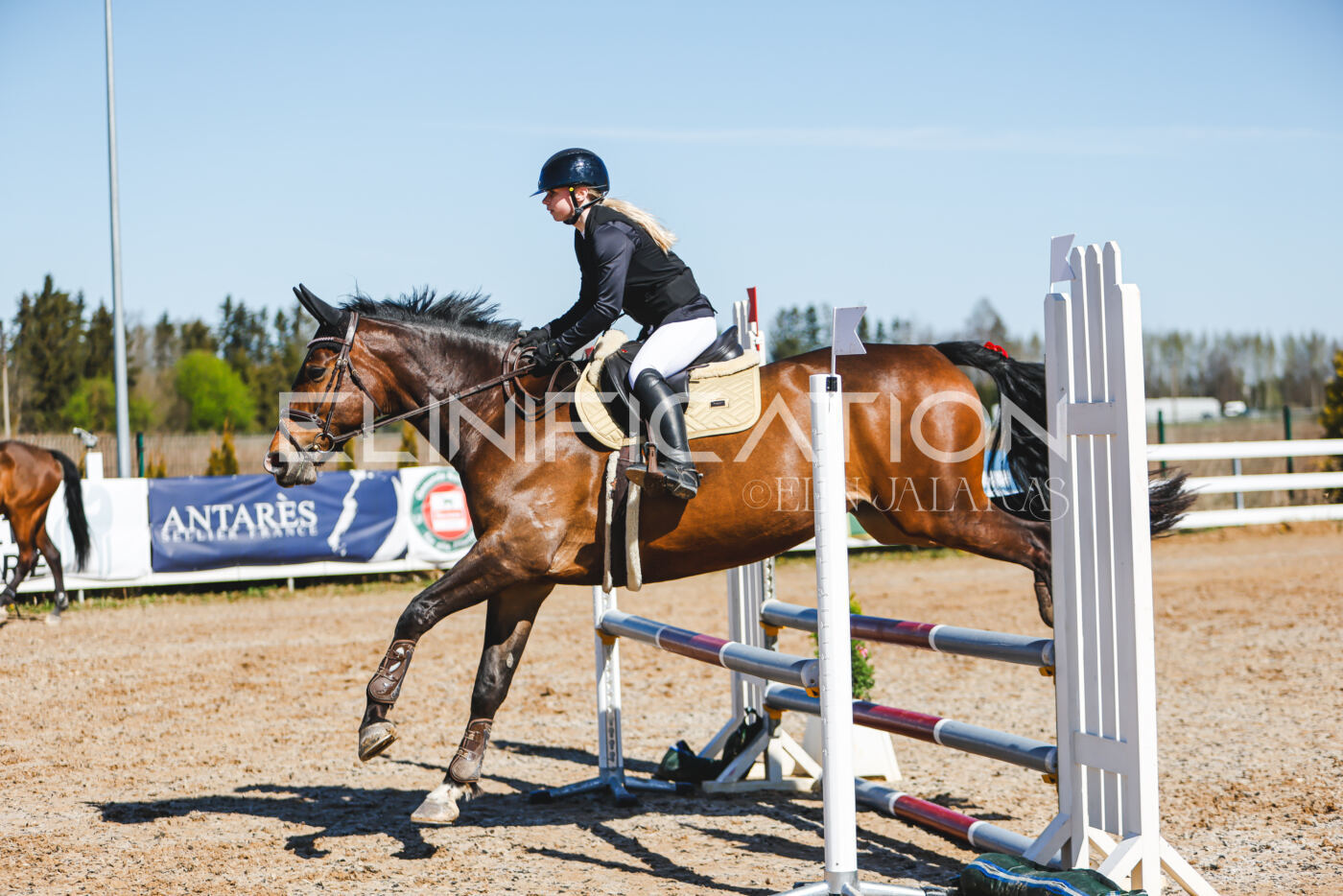 Gramina_Volber_2026_hc70-80_0995