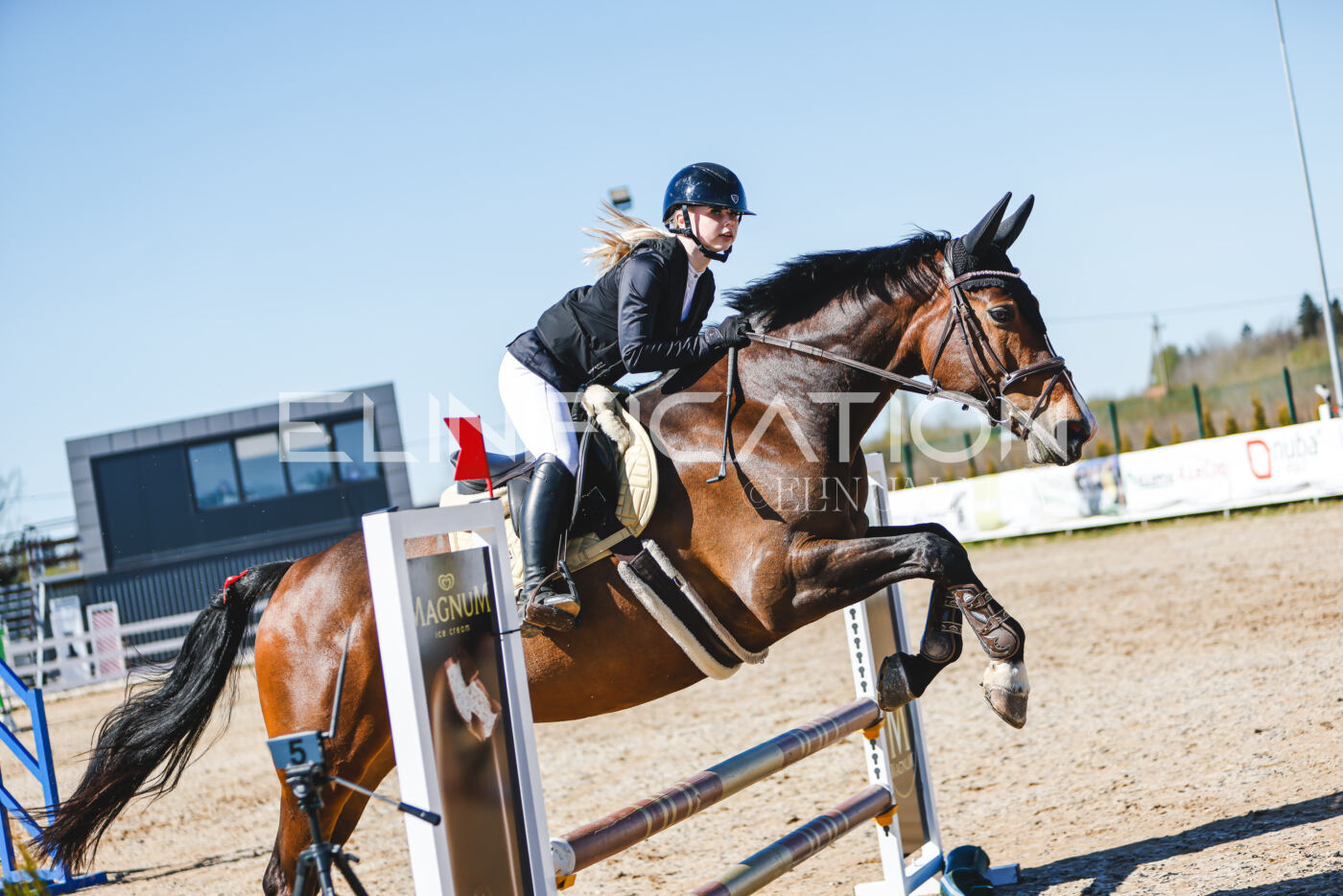 Gramina_Volber_2026_hc70-80_1002