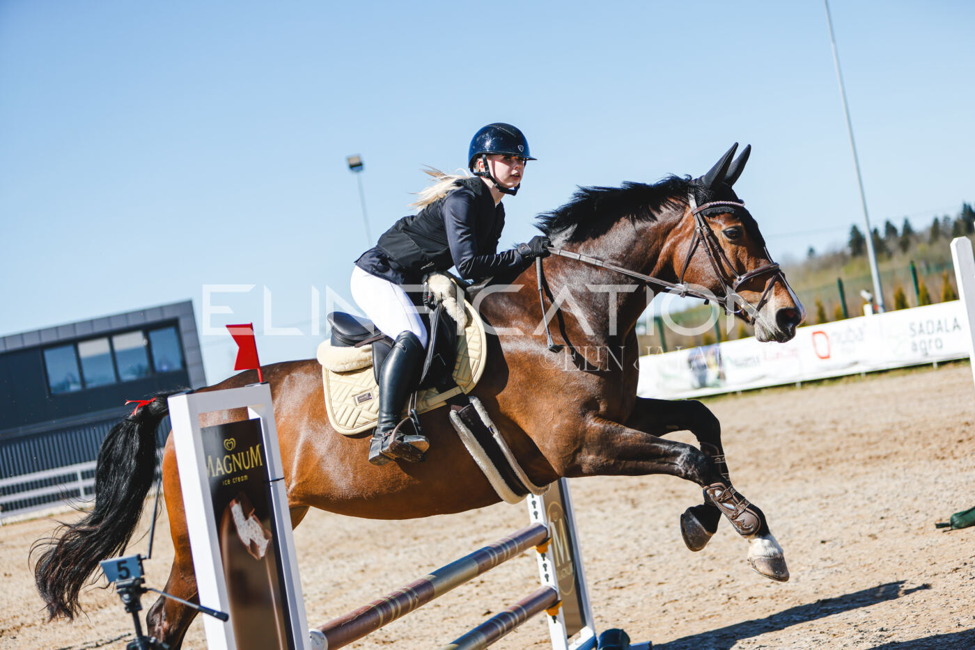 Gramina_Volber_2026_hc70-80_1003