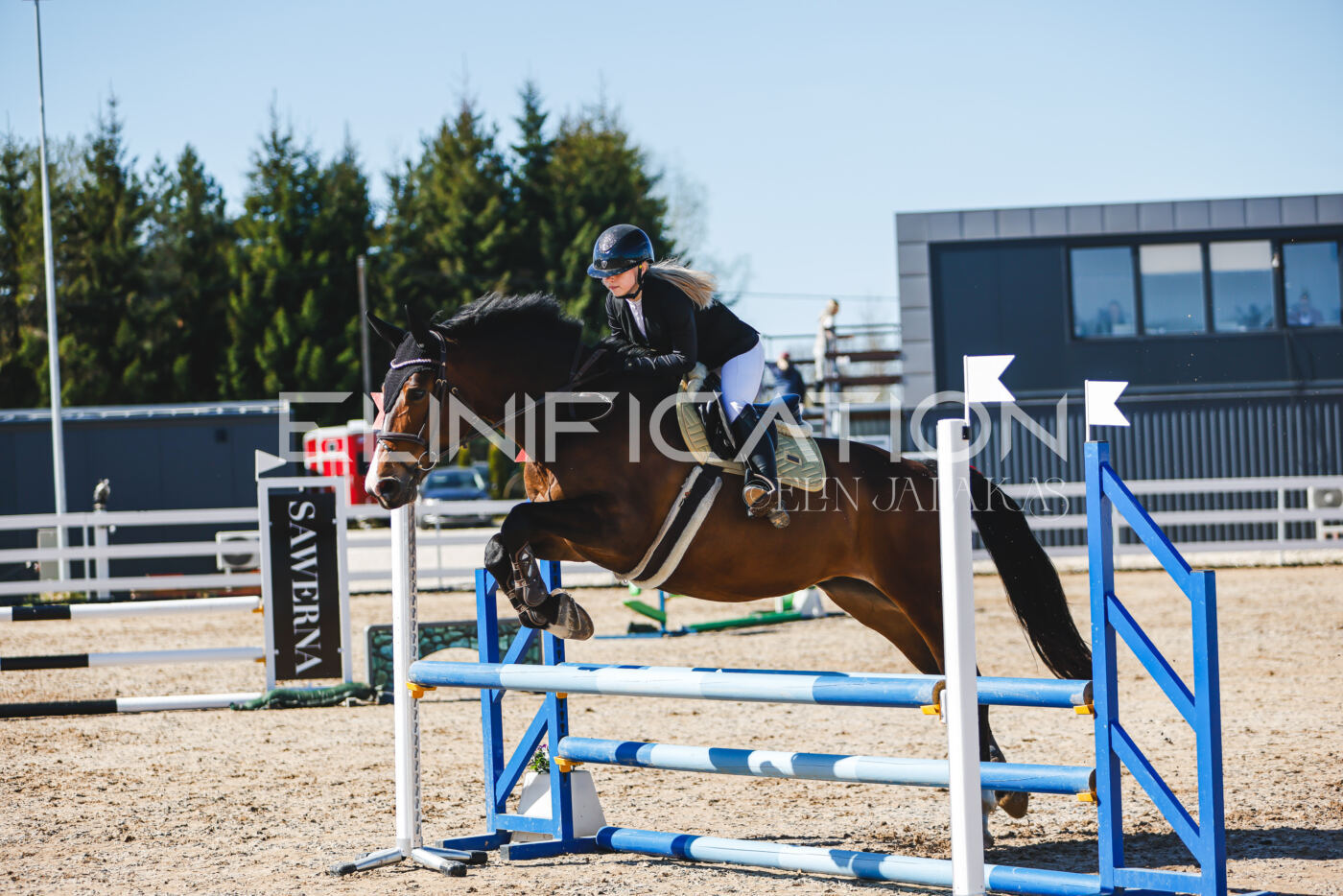 Gramina_Volber_2026_hc70-80_1005