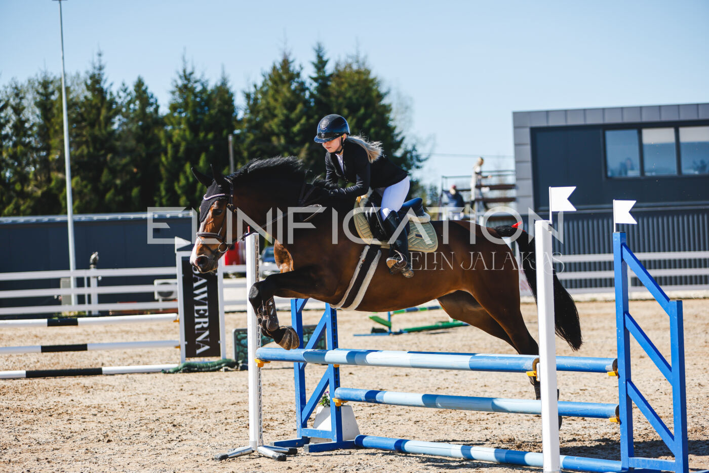 Gramina_Volber_2026_hc70-80_1006