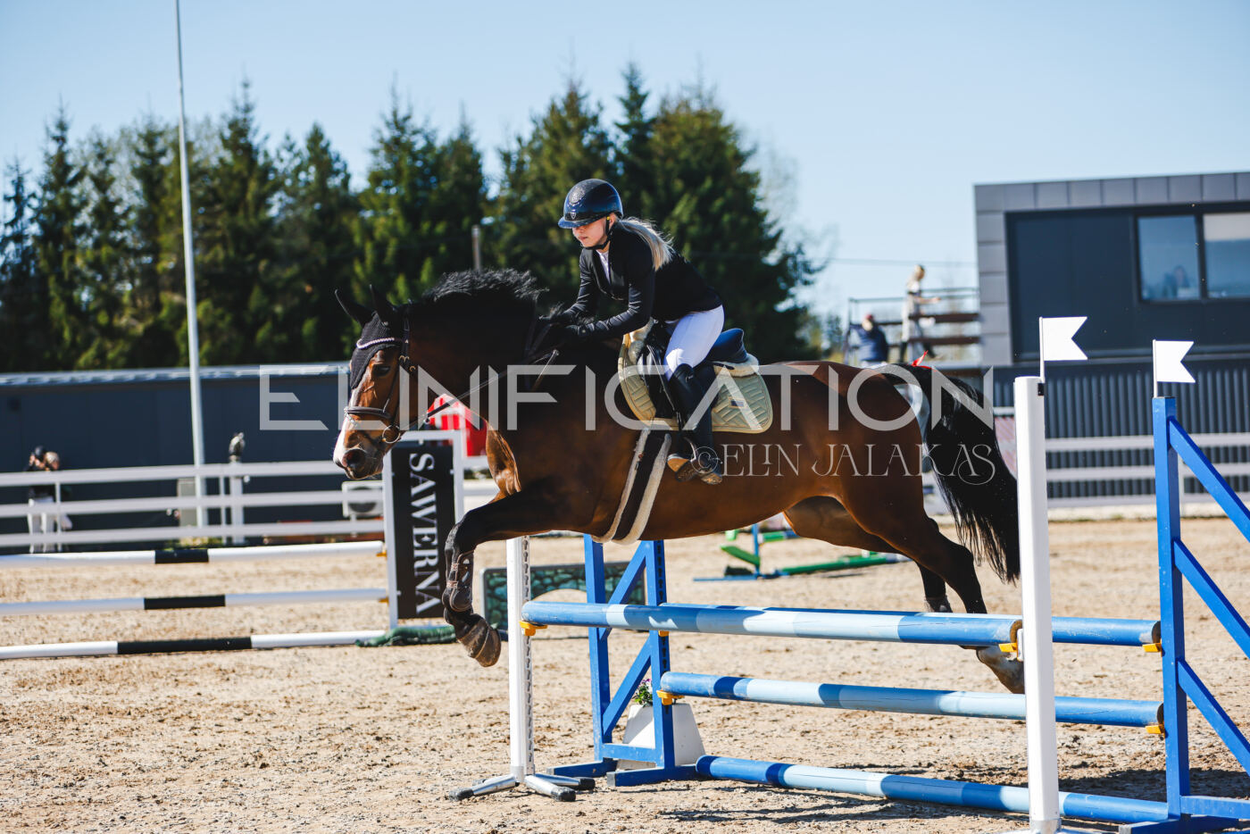 Gramina_Volber_2026_hc70-80_1007