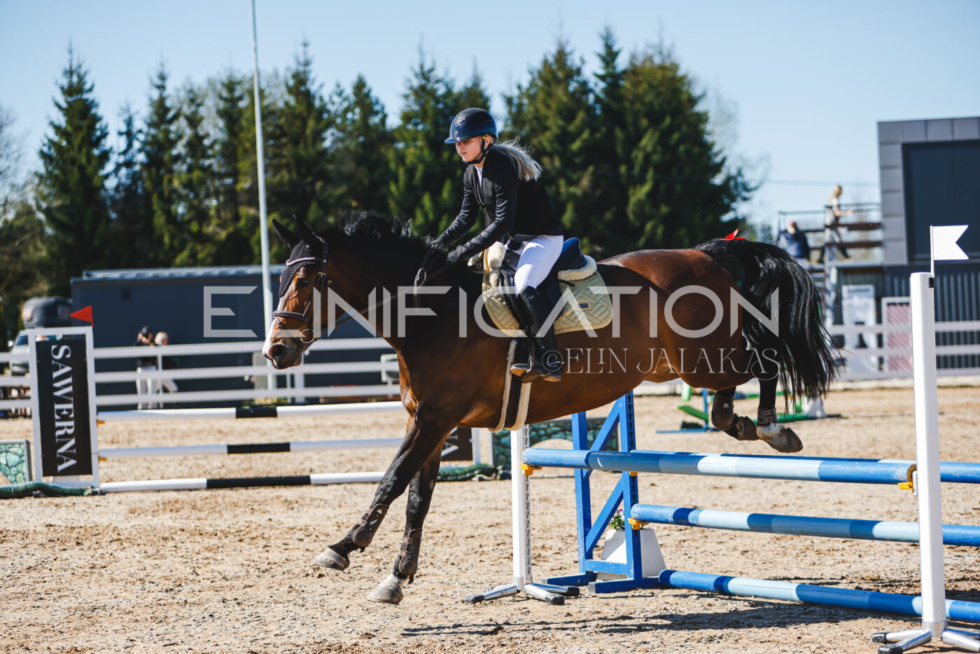 Gramina_Volber_2026_hc70-80_1009