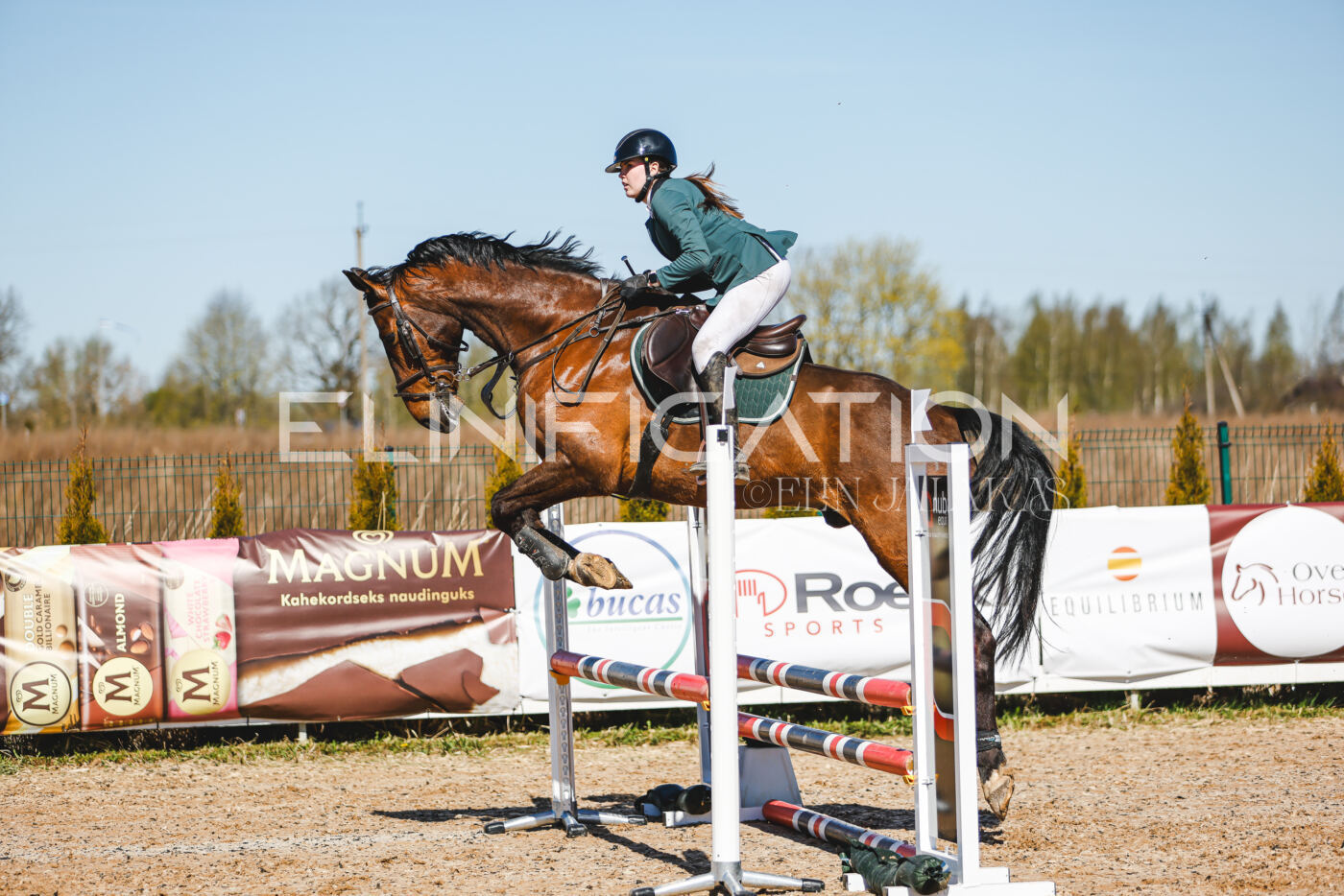 Gramina_Volber_2026_hc70-80_1010
