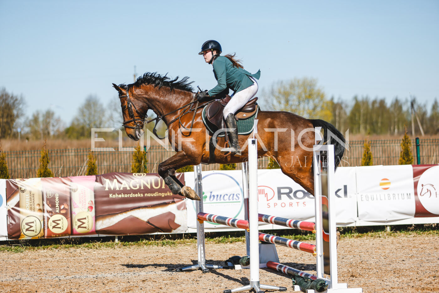 Gramina_Volber_2026_hc70-80_1011